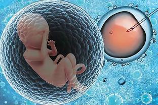 找卵代生子机构